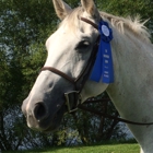 Providence Equestrian Center