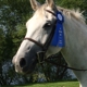 Providence Equestrian Center