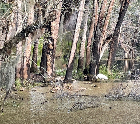 Myakka River State Park - Sarasota, FL