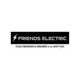 Friends Electric