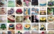 My Dream Cake - Cake Decorating Supplies
