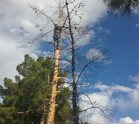Aron's Tree Service - Las Vegas, NV