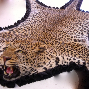 T-Basix Taxidermy & Rugmaking - Tucson, AZ