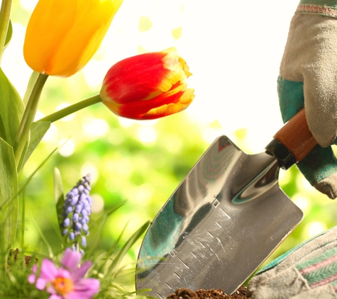 Robert's Home & Garden Maintenance - Wyreema, QLD. Over 20 Years Of Experience