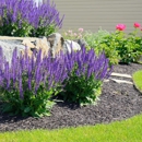 Royce Lawn and Landscaping - Landscaping & Lawn Services
