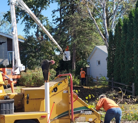 Rg Tree Service - Menomonee Falls, WI