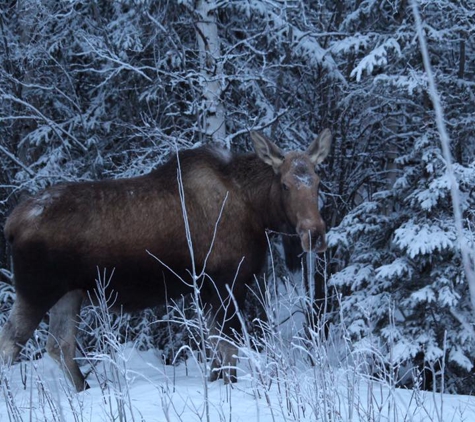 Fourth Coast Tours - Fairbanks, AK