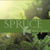 Spruce Wax & Skin gallery