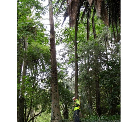 Arborman - Tree Solutions - Port Adelaide, SA