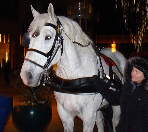 Downtown Denver Carriage Rides - Denver, CO