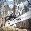 Precision Cut Tree - Tree Service