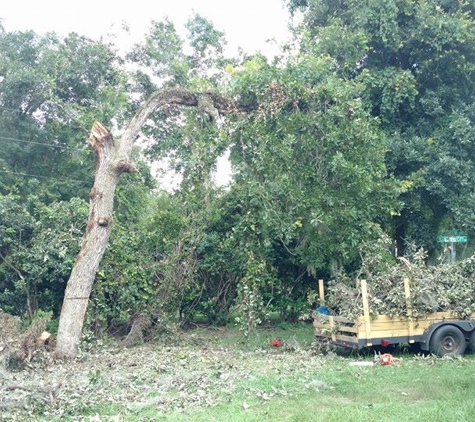 Fullington Lawn & Tree Services LLC - Homosassa, FL