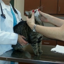 Oak Grove Animal Hospital - Veterinarians