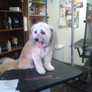 The Proud Pooch - Pet Grooming