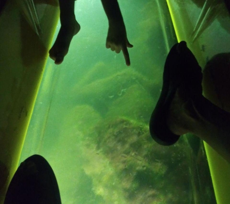 Glass Bottom Tours - Madeira Beach, FL