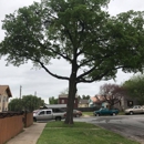 Wolfe Tree Service - Tree Service