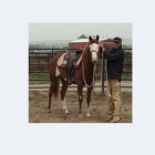 Yellowstone Stables