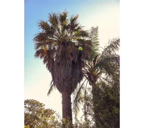 Trees of Eden