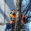 Chop Chop Tree - Tree Service