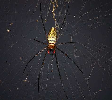 Limetek Pest Control - Greenwood, IN