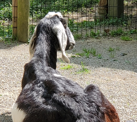 Erie Zoo - Erie, PA