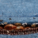 Aim Pest Solutions - Pest Control Equipment & Supplies