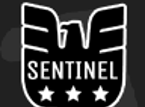 Sentinel Security & Investigations Inc. - Washington, PA