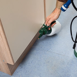 Australian Pest Services - Kelso, NSW. Complete protection for homes and offices.