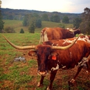 Maple Creek Farm - Meat Markets