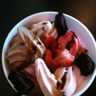 Xtreme Frozen Yogurt