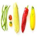 Green Life Market - Butler - Grocery Stores