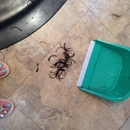 Sante Salon On Paces - Hair Weaving
