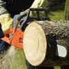 Loyal Tree Service gallery