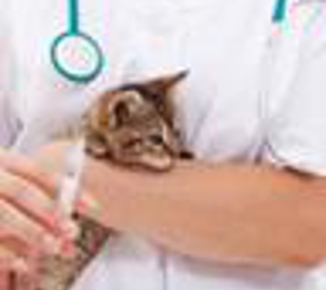 Lockport Animal Hospital - Lockport - Lockport, IL