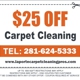 Carpet Cleaning Pros