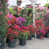 Coral Springs Nursery gallery