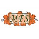 MFS Freight Service - Freight Forwarding