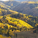 Elevated Life Counseling - Marriage, Family, Child & Individual Counselors