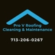 Pro V Roofing Cleaning & Maintenance