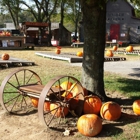 Walden Pumpkin Farm