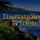 Temptation Tours - Limousine Service