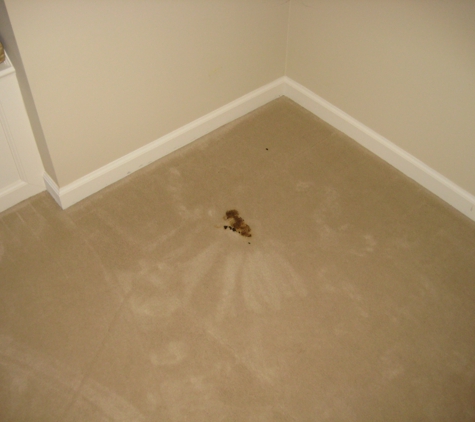 Mullins Complete Carpet Care - Loveland, OH