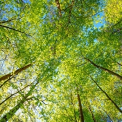 Gallery Image Number 3