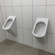 Gallery Image Number 8