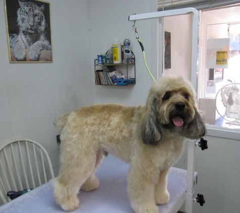 Pawsitively Groomed Pet Salon - Burlingame, CA