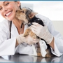 Forever Vets Animal Hospital