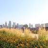 Signature Landscape gallery