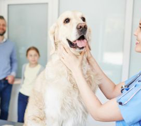 Wachal Pet Health Center - Lincoln, NE