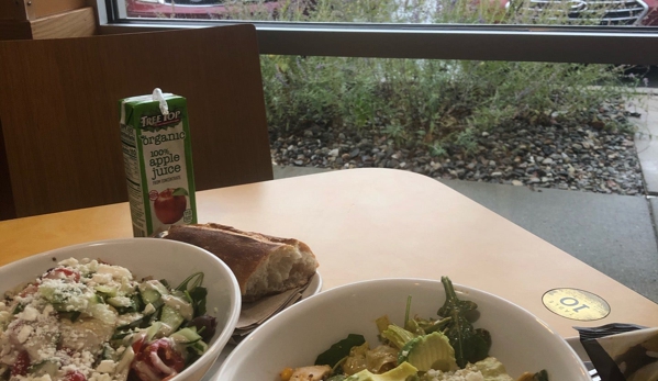 Panera Bread - Allentown, PA