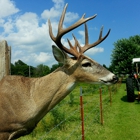 Freedom Outdoors & Taxidermy